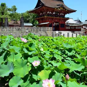 伊賀八幡宮