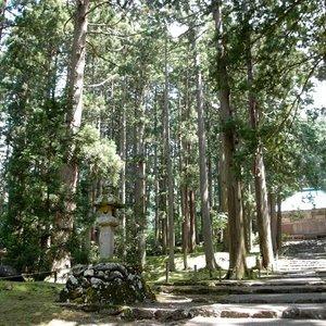 平泉寺白山神社
