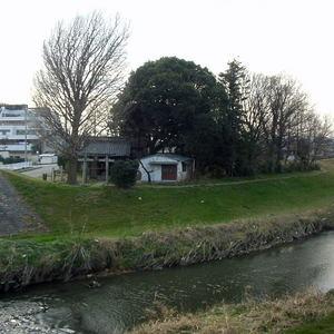 大杉神社（ふじみ野市）