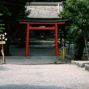 石引神社