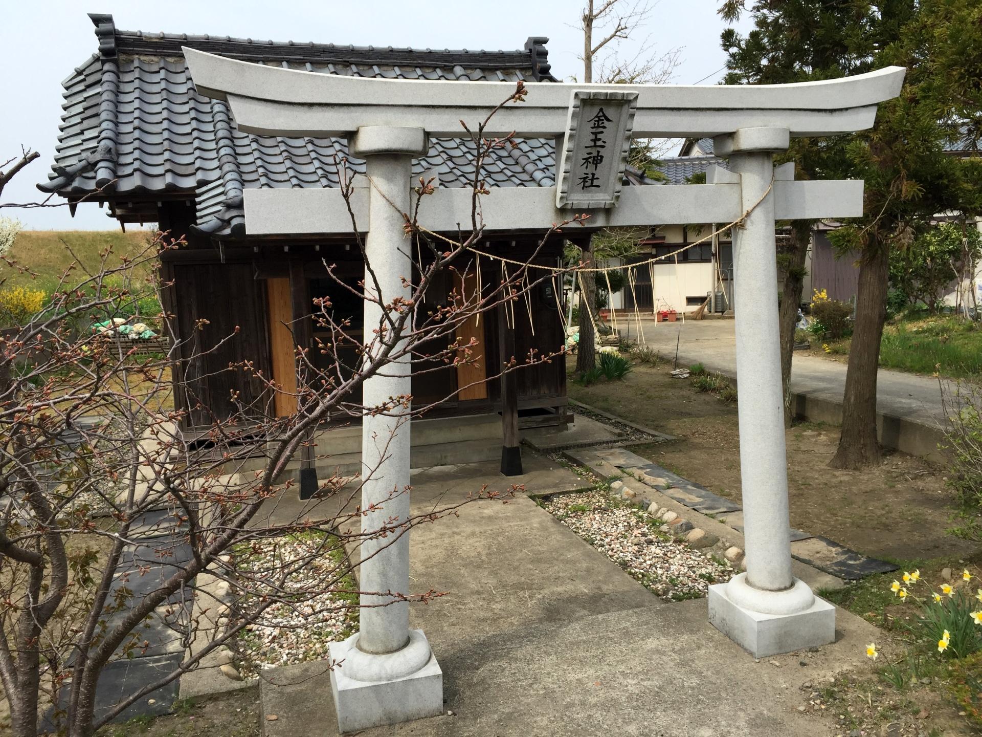 金玉神社（新潟市）