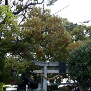 三島神社（門真市）