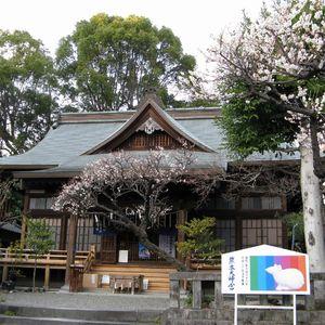 熊本大神宮