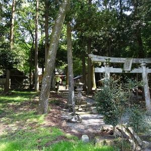 日吉神社（岡崎市中金町）