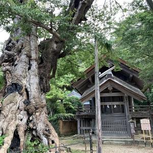 神魂伊能知奴志神社（命主社）