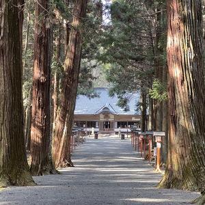 亀鶴山八幡神社