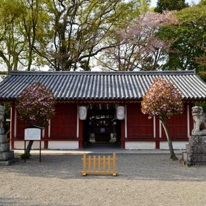桜井神社