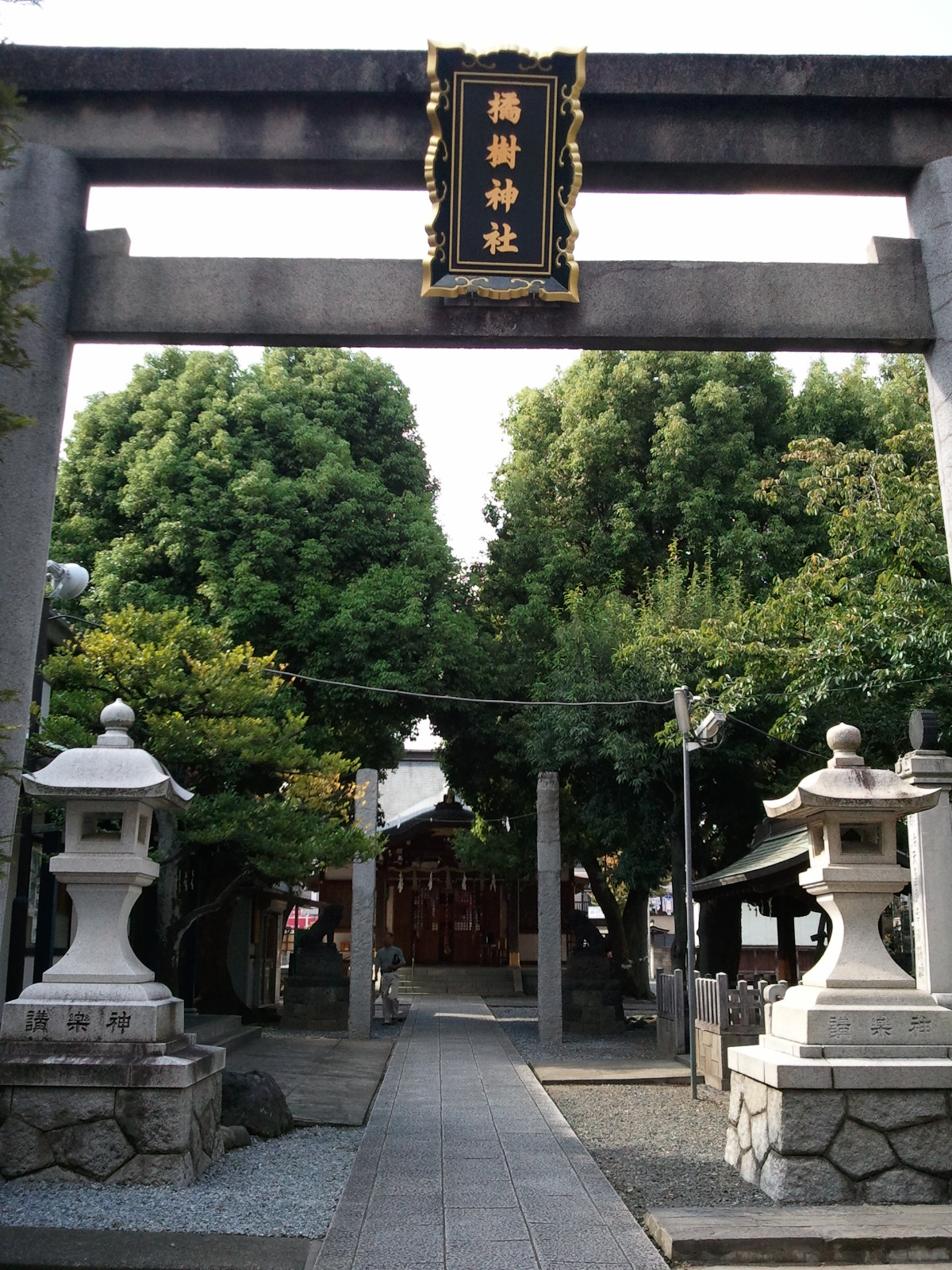 橘樹神社（横浜市）