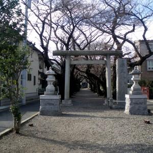 碑文谷八幡宮